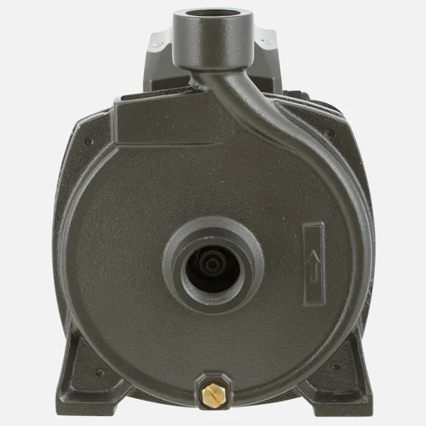 Bomba Superficie Centrífuga 1HP BERCATTI CPM158B